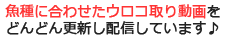 魚種に合わせたウロコ取り動画をどんどん更新し配信しています♪